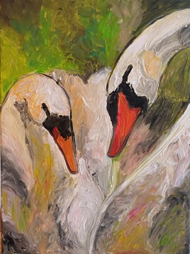 Les cygnes