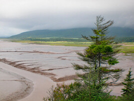 HOPEWELL ROCKS