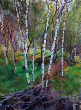 L'or&eacute;e des bouleaux