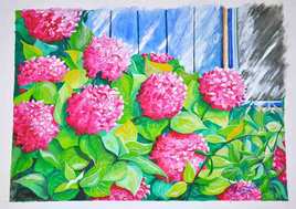 Hortensias
