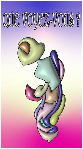 Que voyez-vous ?