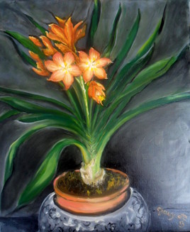 Un Clivia