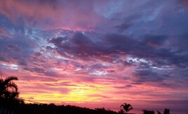 Une explosion de couleurs