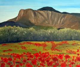 Les Coquelicots duMont Gozzi