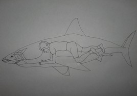 Shark One