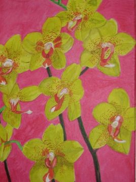 Orchidée VI