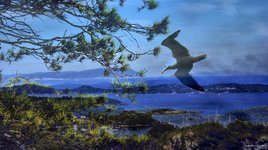 &Eacute;vit&eacute;  de justesse