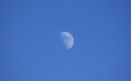 1/2 lune...