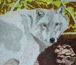 Loup