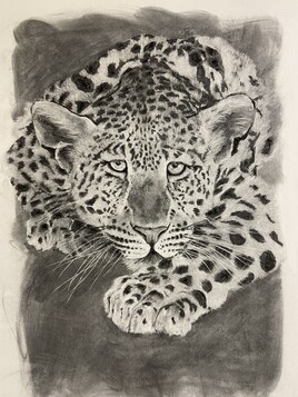 L&eacute;o le l&eacute;opard