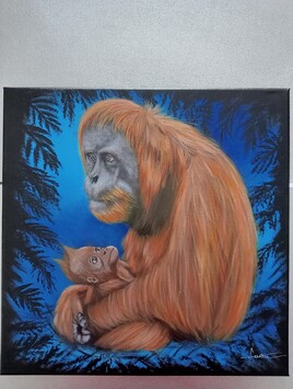 "Orang outan" "Orang outan"