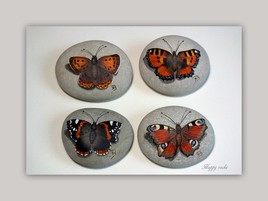 Série papillons