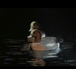 Canards siffleurs la nuit