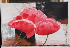 Fleurs de coquelicot