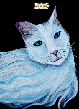 Collections de 12 &oelig;uvres  Chats Dieux  APHRODITE