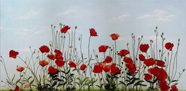 les coquelicots