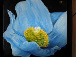 "FLEUR BLEUE"
