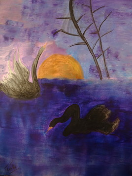 Les cygnes sombres