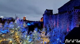 MON BEAU SAPIN ......