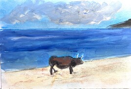 Boeuf sur la plage