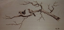 2 oiseaux sur une branche