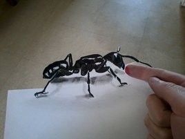 La fourmi cro-onde en 3D