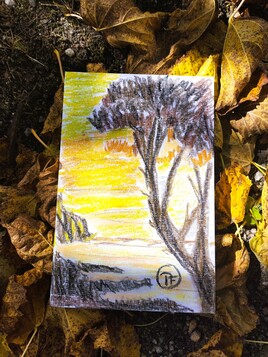 IL FAIT AUTOMNE A BARDENAC