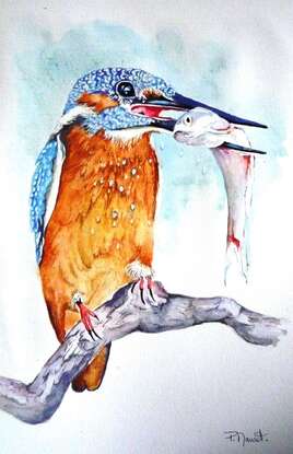 Martin-p&ecirc;cheur