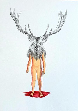 "The wounded deer"