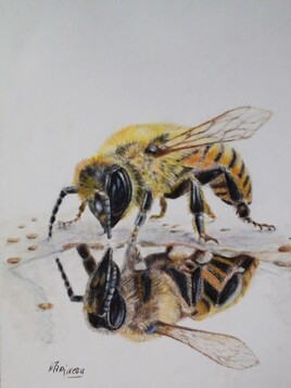 Miroir, miroir, dis-moi qui est la plus belle