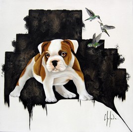 Mister G et les colibris