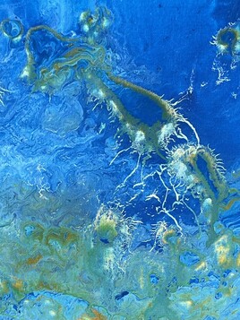 Voyage au fond des mers