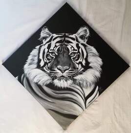TIGRE NOIR ET BLANC