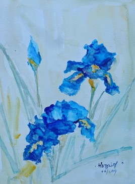 Iris bleus