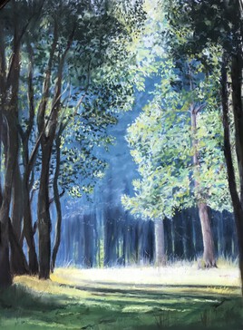 Clair matin en for&ecirc;t