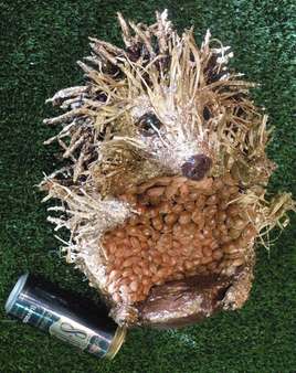 Le h&eacute;risson et la bi&egrave;re