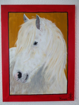 cheval camargue