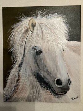 Poney Shetland nommé Iloona de Bennes