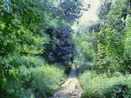 Sentier , &agrave; Fontainebleau