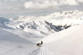Chiens de tra&icirc;neau 3