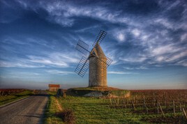 Windmill in the Vine