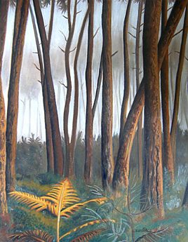 La fougère dans les pins