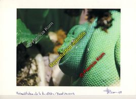 Pr&eacute;m&eacute;ditation de la fin d'Eden