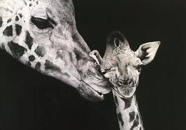 Maman girafe
