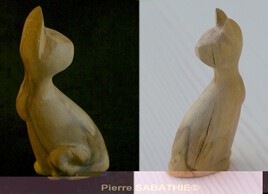 Chat contorsionniste (pl&eacute;onasme)
