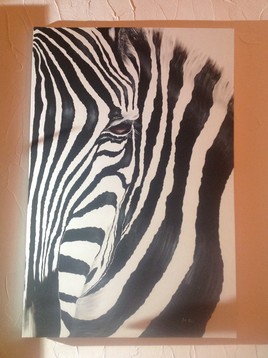 Le zebre
