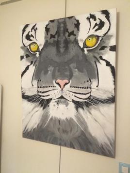 tigre gris