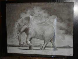 elephant tôt