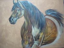 cheval arabe