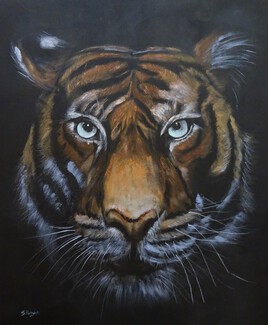 tigre sur fond noir
